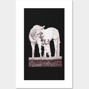 Horse, dog, horse lover, dog lover Posters and Art